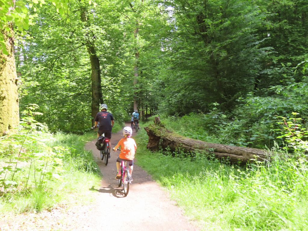 Camping (07)