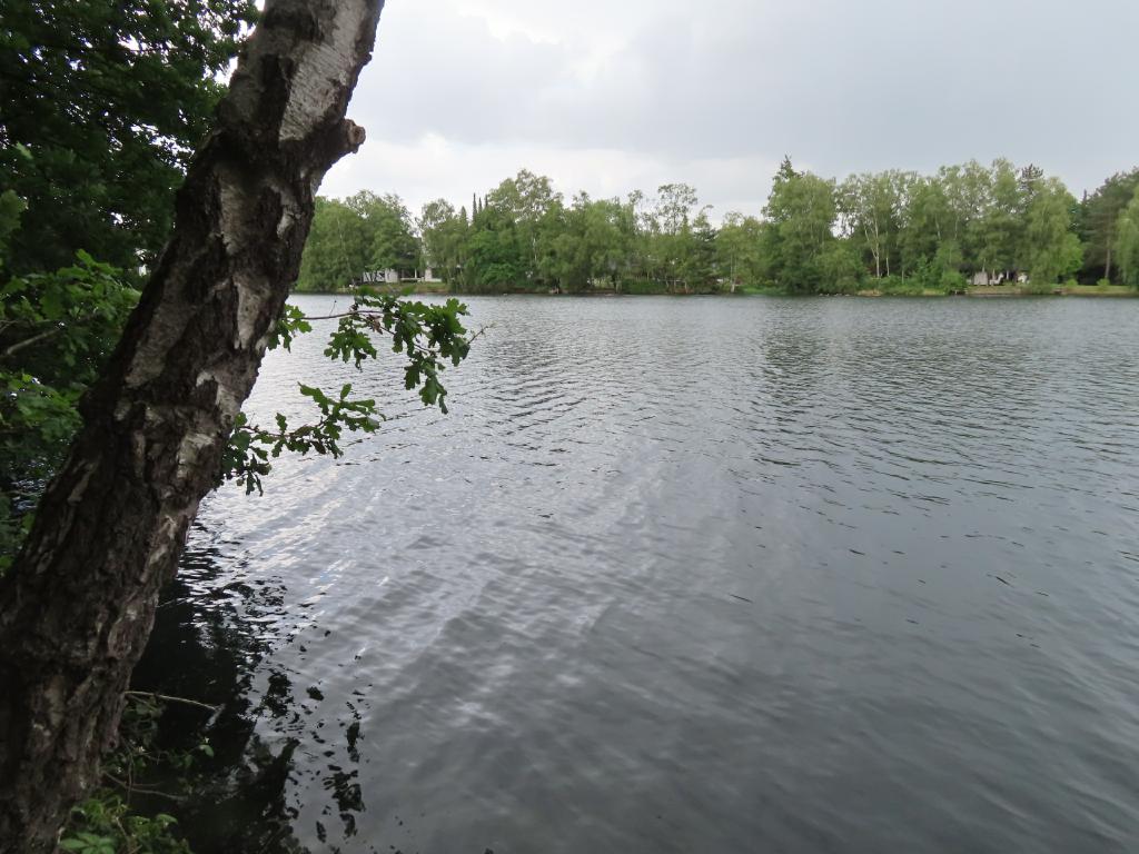 Brueggen (13)